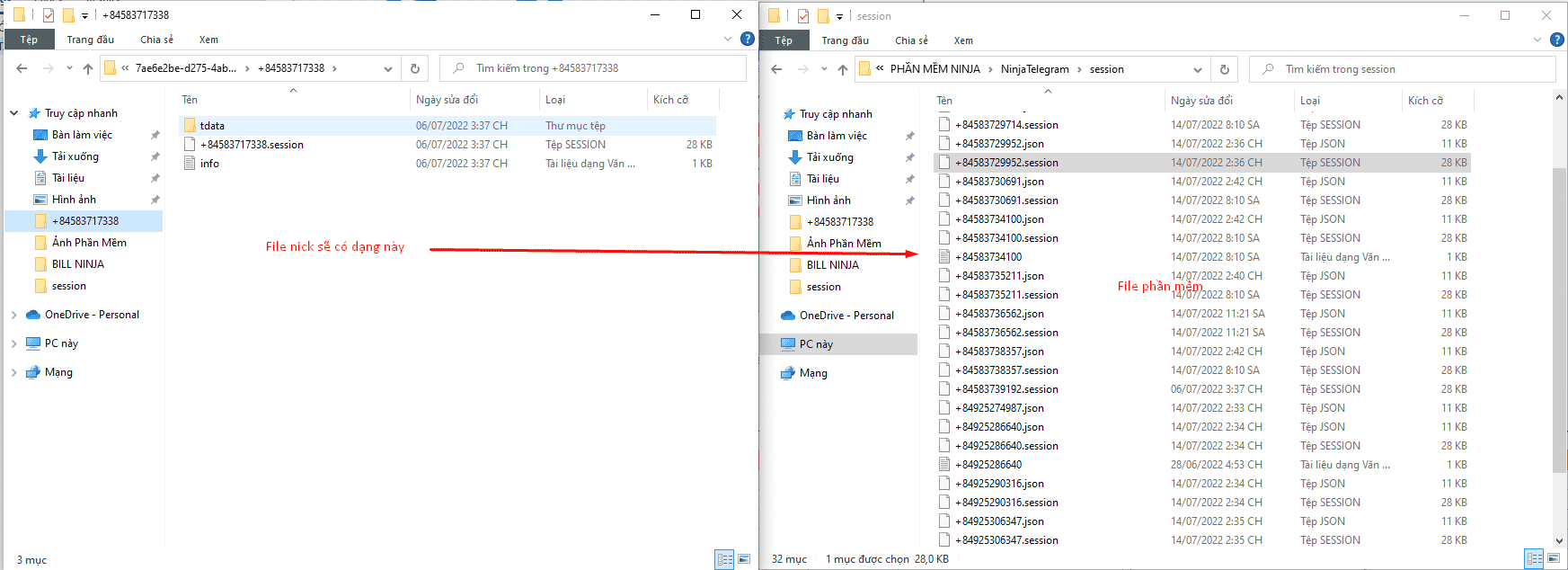 Copy file session ở file nick và paste sang file phần mềm ninja telegram
