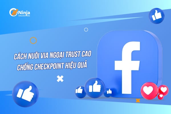 cách nuôi via ngoại trust cao, chống checkpoint hiệu quả