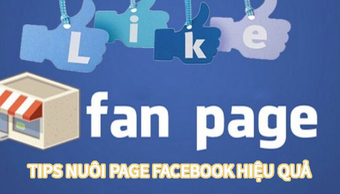 nuôi page facebook với mục đích gì